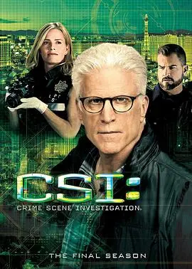 《犯罪现场调查 第十五季》：告别传奇，CSI的最终篇章与不变的正义之光！
